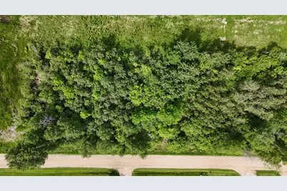 Lot 2 Parameter Road, Deer River, MN 56636 - Photo 5