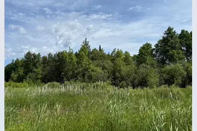 Lot 3 Parameter Road, Deer River, MN 56636 - Photo 7
