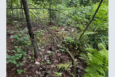 Tbd Big Island Lake Trail, Marcell, MN 56657 - Photo 9