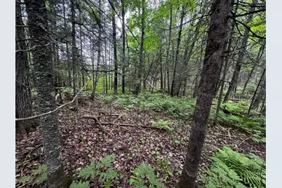 Tbd Big Island Lake Trail, Marcell, MN 56657 - Photo 11