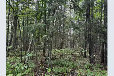 Tbd Big Island Lake Trail, Marcell, MN 56657 - Photo 27
