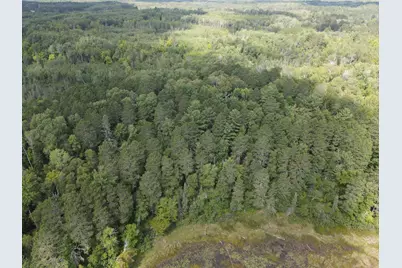 Tbd Big Island Lake Trail, Marcell, MN 56657 - Photo 31