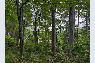 Tbd Big Island Lake Trail, Marcell, MN 56657 - Photo 19
