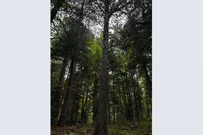 Tbd Big Island Lake Trail, Marcell, MN 56657 - Photo 13
