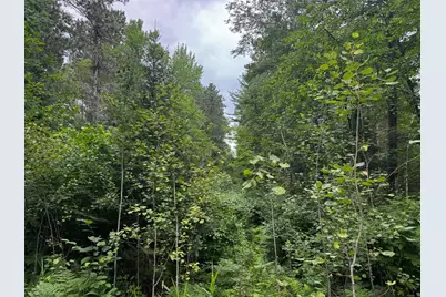 Tbd Big Island Lake Trail, Marcell, MN 56657 - Photo 17