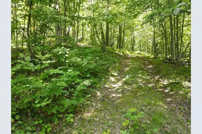 Tbd Idas Road, Osage Township, MN 56570 - Photo 3