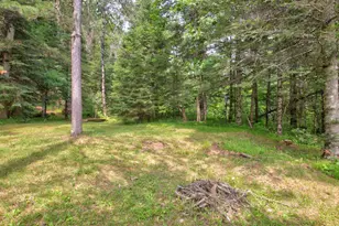 9146 Chippewa Pnes Wy, Winter, WI 54896 - Photo 61
