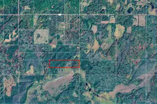 Tbd Happy Tree Ln, Bruno, MN 55712 - Photo 1