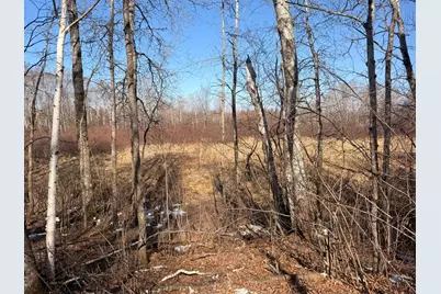 Tbd Happy Tree Lane, Bruno, MN 55712 - Photo 37