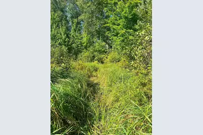 Tbd Happy Tree Lane, Bruno, MN 55712 - Photo 5