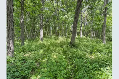 00 Dopp, Ettrick, WI 54627 - Photo 33