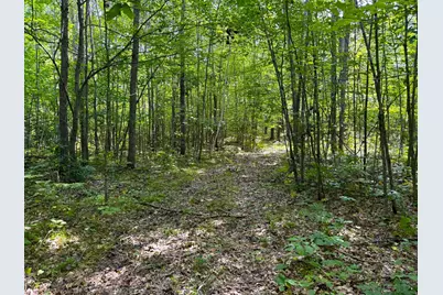 W9Xxx Webb Lake Drive, Trego, WI 54888 - Photo 5