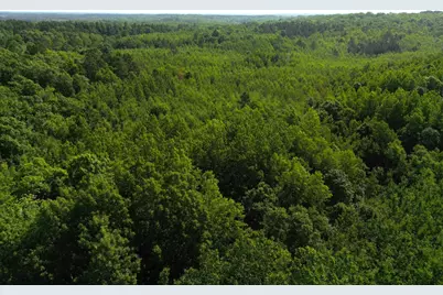 W9Xxx Webb Lake Drive, Trego, WI 54888 - Photo 19