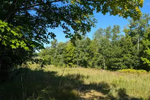 15890 390th St, Bagley, MN 56621 - Photo 39