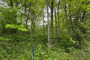 Xxxx 241st Ave NE, Stacy, MN 55079 - Photo 1