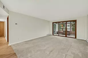 317 SW 6th Ave SW, Rochester, MN 55902 - Photo 19