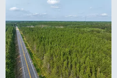 Tract C Hwy 21, Babbitt, MN 55706 - Photo 3