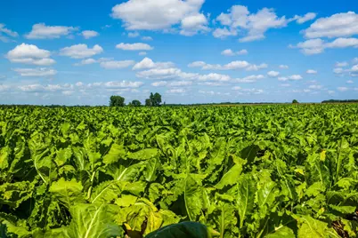 Tbd 360 St NW, Argyle, MN 56713 - Photo 3