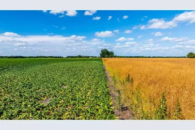 Tbd 360 St NW, Argyle, MN 56713 - Photo 51