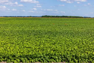 Tbd 360 St NW, Argyle, MN 56713 - Photo 23