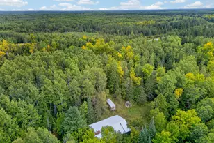 7665 Hwy 65, Littlefork, MN 56653 - Photo 15