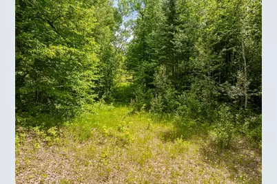 Tbd County Rd 238, Deer River, MN 56636 - Photo 11