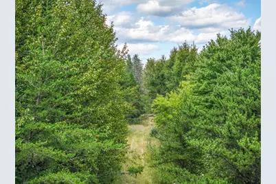 Tract D Highway 21, Babbitt, MN 55706 - Photo 3