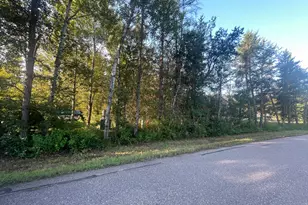 Tbd Crow Wing Circle SW, Pillager, MN 56473 - Photo 1