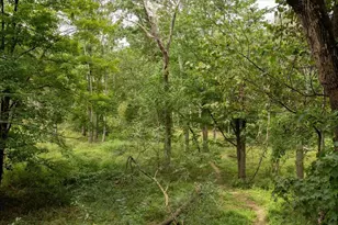 1121 River Heights Rd, Menomonie, WI 54751 - Photo 51