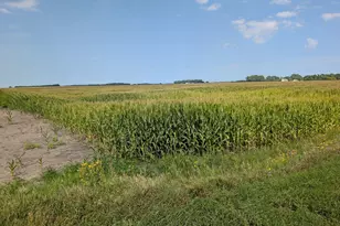 61203 150th St, Chokio, MN 56221 - Photo 1