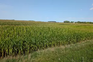 61010 180th St, Chokio, MN 56221 - Photo 1