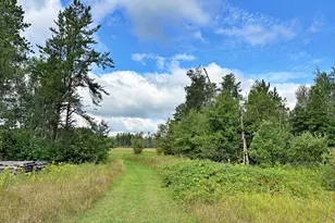15634 318th St, Menahga, MN 56464 - Photo 17