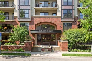 317 Groveland Ave, Minneapolis, MN 55403 - Photo 31