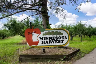 713 Prospect Pt Rd, Jordan, MN 55352 - Photo 25