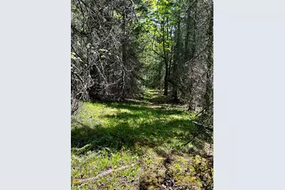3451 E Alger Grade, Two Harbors, MN 55616 - Photo 13