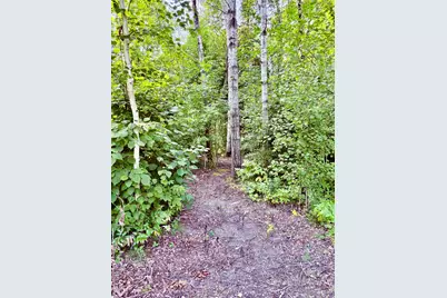 29386 685th Avenue, Roosevelt, MN 56673 - Photo 23