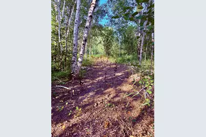 29386 685th Avenue, Roosevelt, MN 56673 - Photo 33