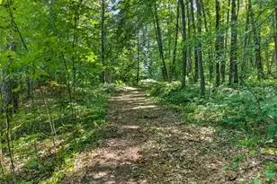 Tbd Cty Hwy B, Shell Lake, WI 54871 - Photo 39