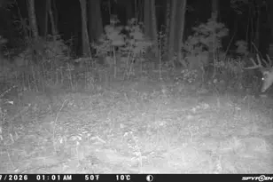 Tbd Cty Hwy B, Shell Lake, WI 54871 - Photo 47