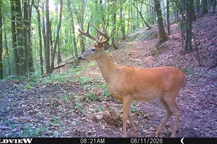 Tbd Cty Hwy B, Shell Lake, WI 54871 - Photo 43