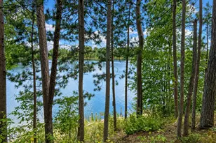 12478 McKenzie Rd, Bagley, MN 56621 - Photo 7