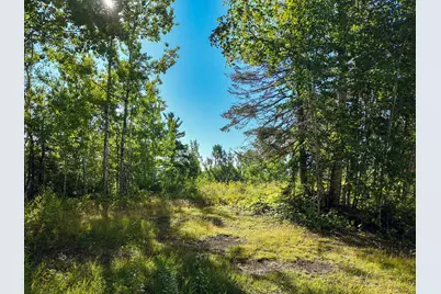 Xxx Casper's Hill Road, Grand Marais, MN 55604 - Photo 1