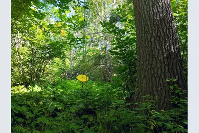 Xxx Casper's Hill Road, Grand Marais, MN 55604 - Photo 7