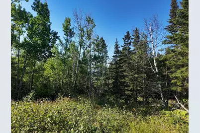 Xxx Casper's Hill Road, Grand Marais, MN 55604 - Photo 3