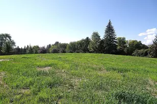 5990 Painter Rd, Minnetrista, MN 55364 - Photo 9