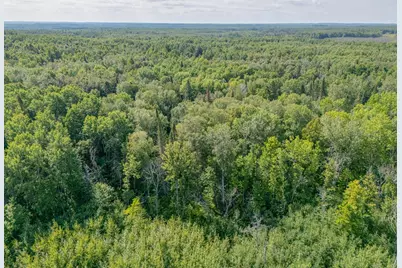 Tbd County Rd 523, Effie, MN 56639 - Photo 5