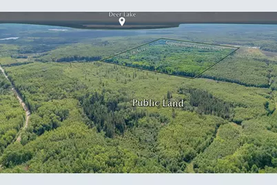 Tbd County Rd 523, Effie, MN 56639 - Photo 1