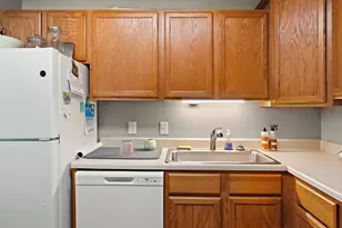 16 E 13th St, Waconia, MN 55387 - Photo 9
