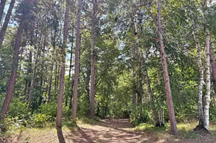16939 Dogwood Rd, Park Rapids, MN 56470 - Photo 27