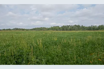 Tbd County Road 11, Aitkin, MN 56431 - Photo 7